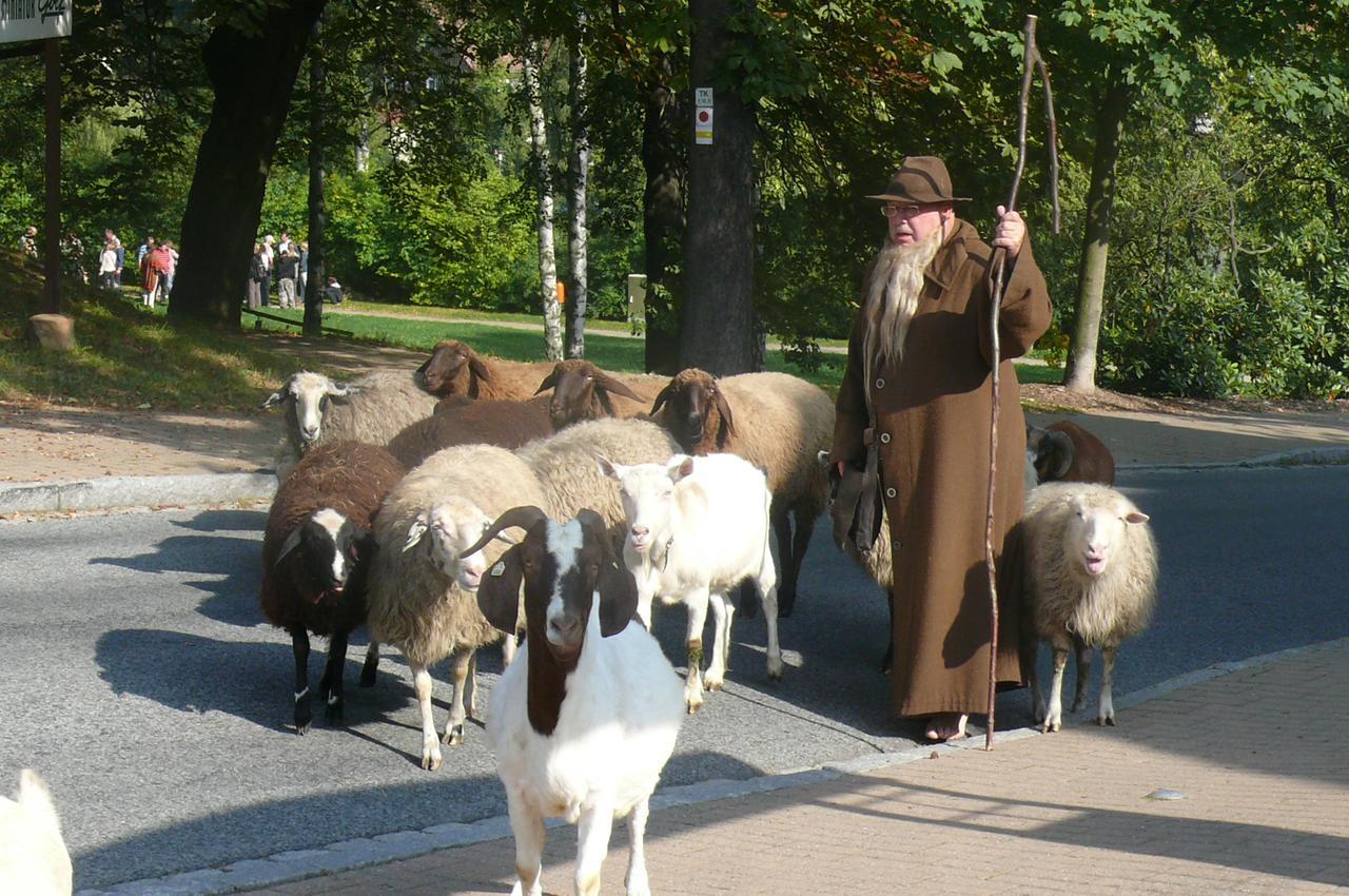 Kurhaus Jonsdorf 호텔 외부 사진